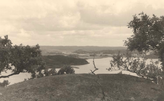 Börs Flog Ucklum Sn. Stenungsund._AndersHedvall
