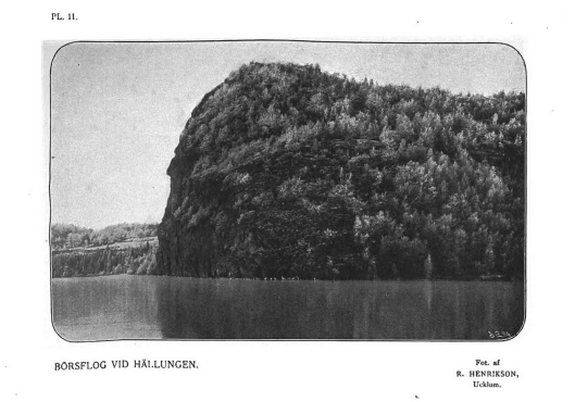 Börsflog1903