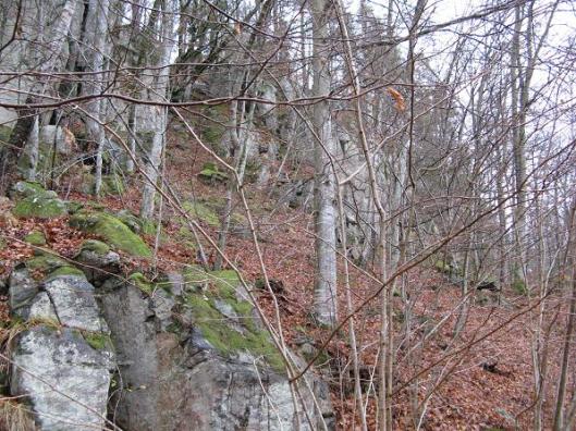 I0x3owX1_a4SjCZZzUAN