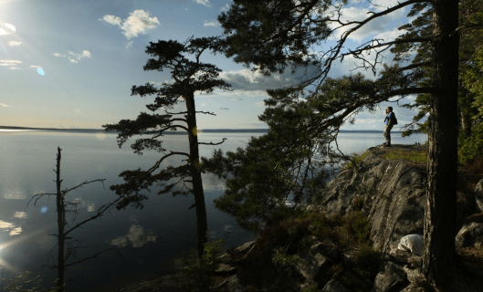 skandinavroka.blogspot.se