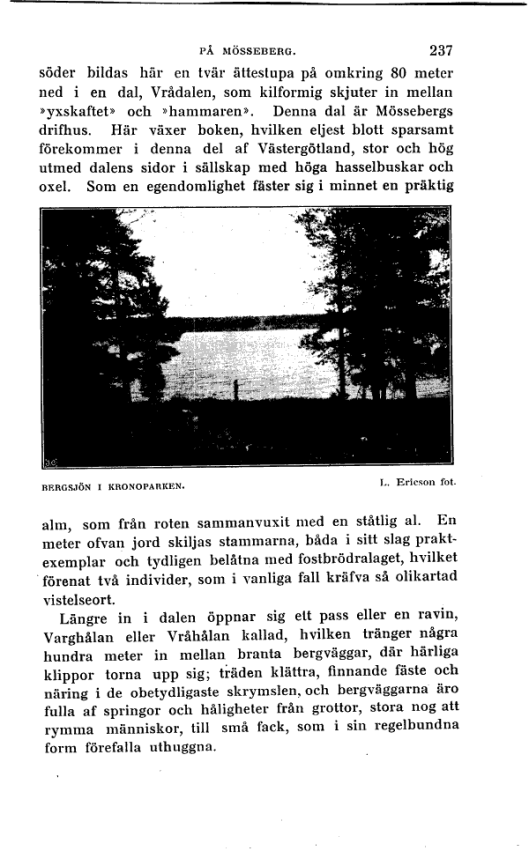 Svenska Turistföreningens årsskrift : 1914 :  237  (1886)