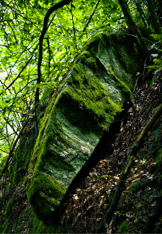 Ättestupan at Sickinge