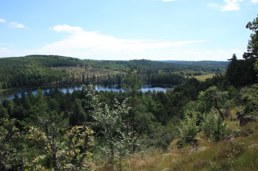 f3365cc8-efe0-463f-88d2-e5e6b54429b5