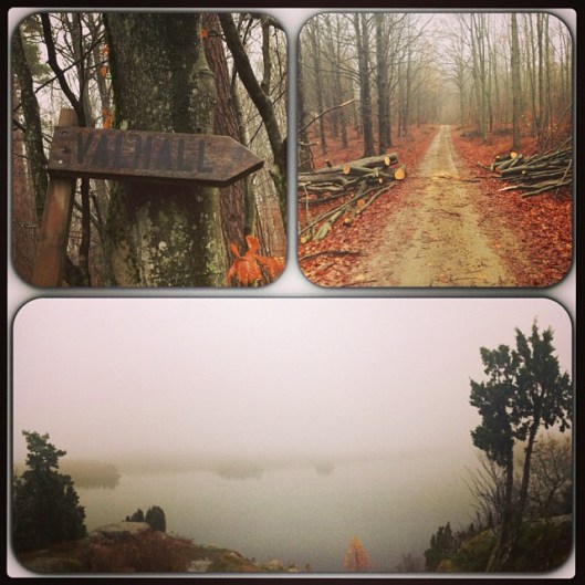 Valhalla_tinasalamonsen