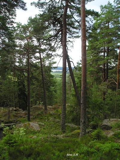 forshaga-hos-marianne-och-kompis-006-vacker-utsikt_97456962